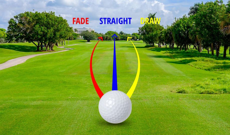 Shot path overlaid on dogleg left