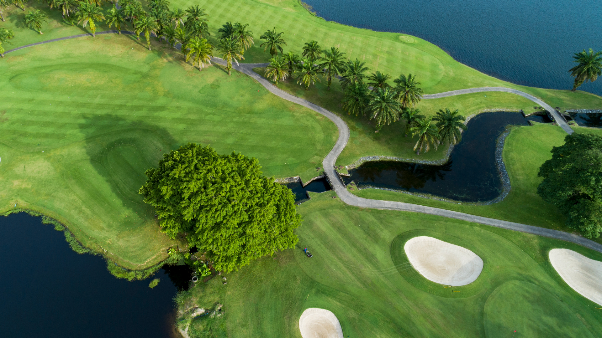 Overhead view of golf course