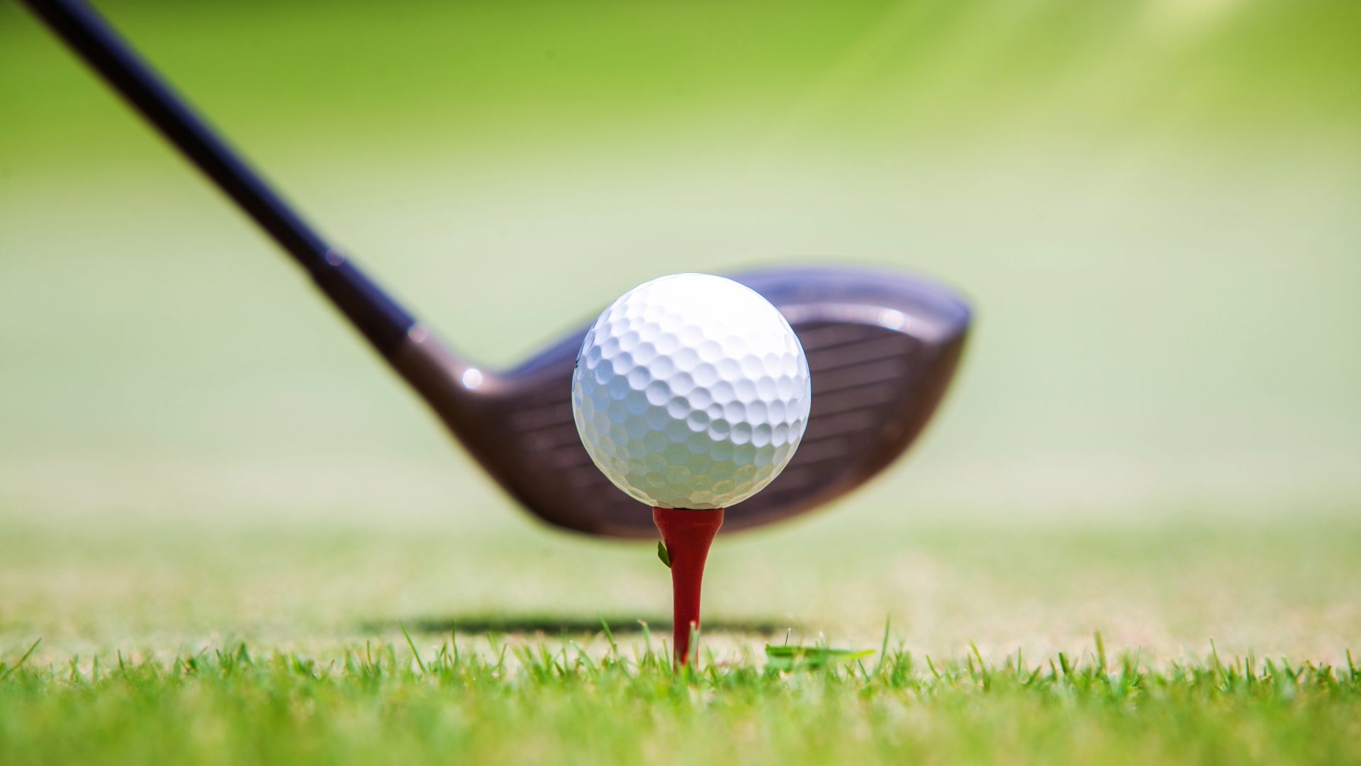 Golf ball on tee with the head of a golf club right behind it