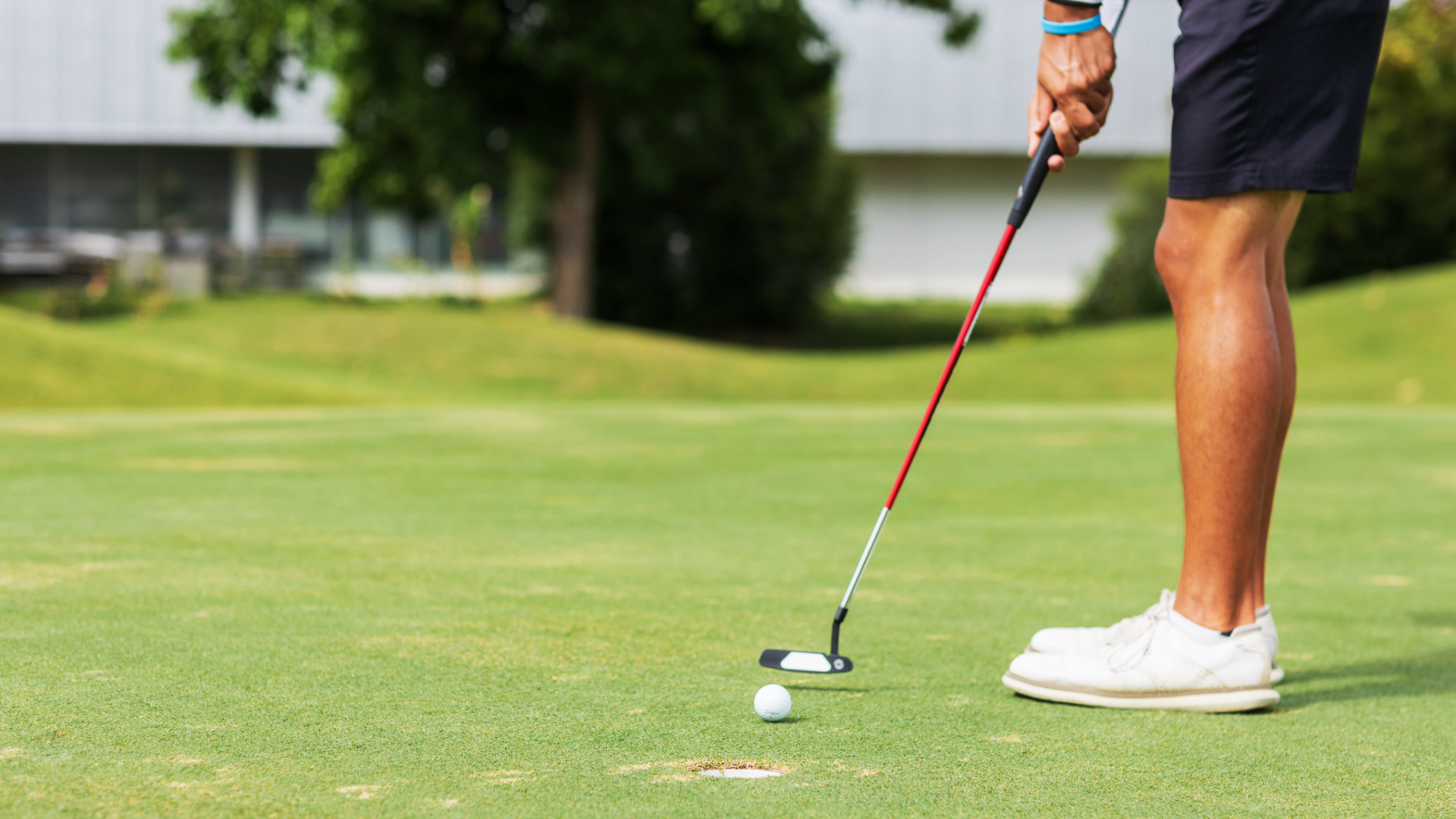 Golfer getting reading to hit ball