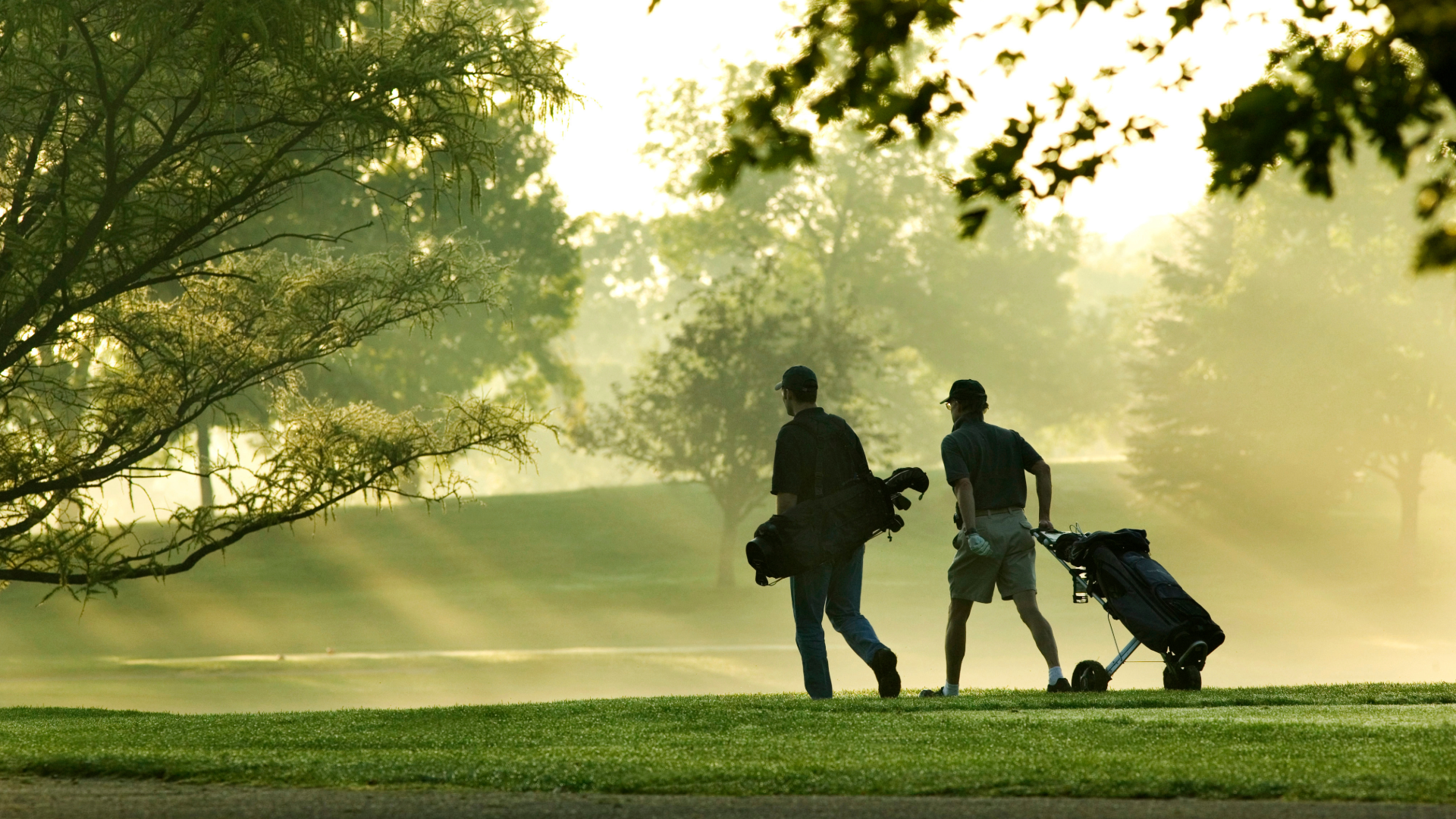 Golfers walking on the course in sunlight and fog