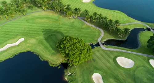 Overhead view of a beautiful golf course